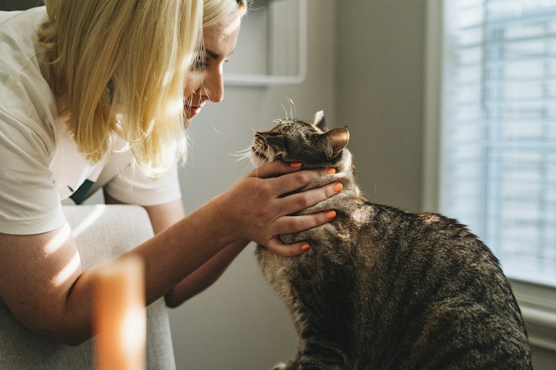 Chronic Kidney Disease in Cats
